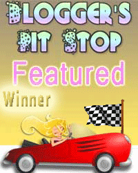 Featured post at the Blogger's Pit stop