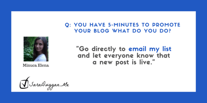 Quickly Promote Post by sending it to your email list - Minuca Elena