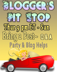 The Blogger's Pit Stop